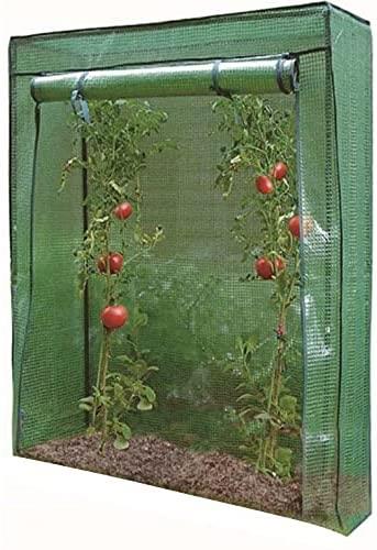 Tomato Greenhouse