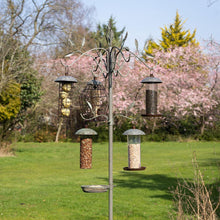 Load image into Gallery viewer, Peckish Secret Garden Dining Station
